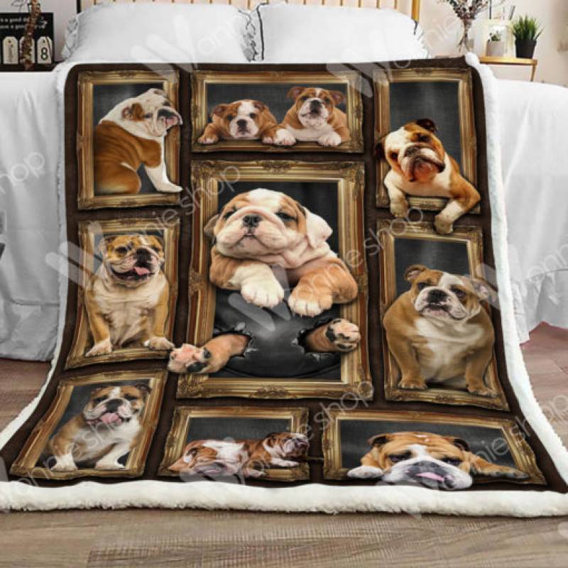 Bulldog Sherpa Blanket DCB1004 81O60