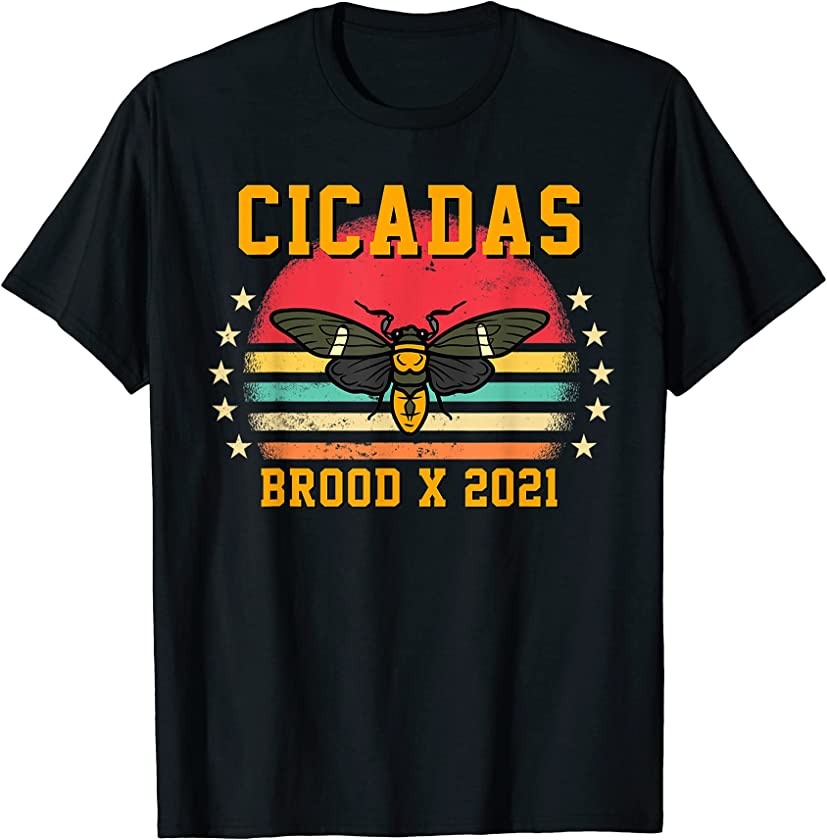 Brood X Cicada Shirt Cicadas 2021 Retro Vintage Magicicada T-Shirt