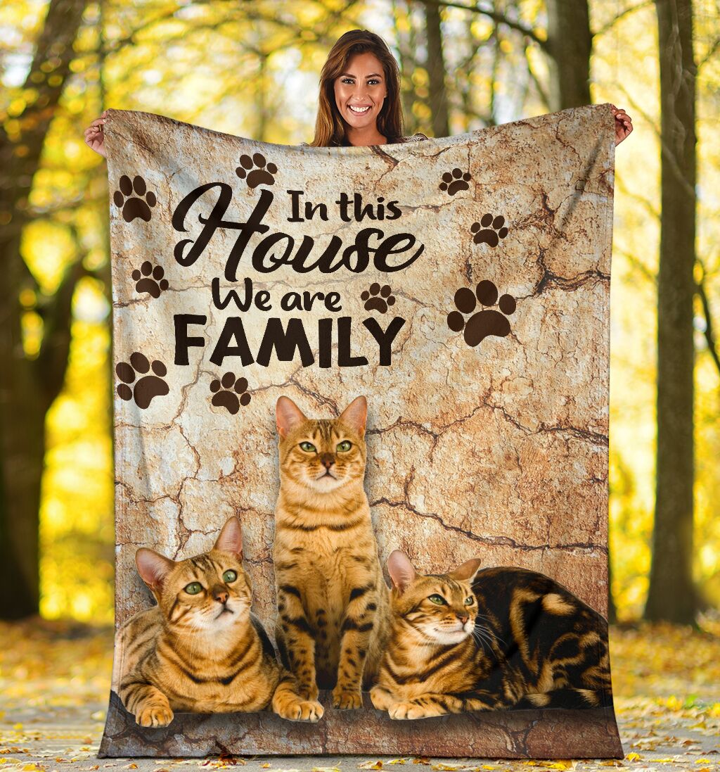 We Are Family Cat Blanket Gift For Cat Lovers Fleece Blankets