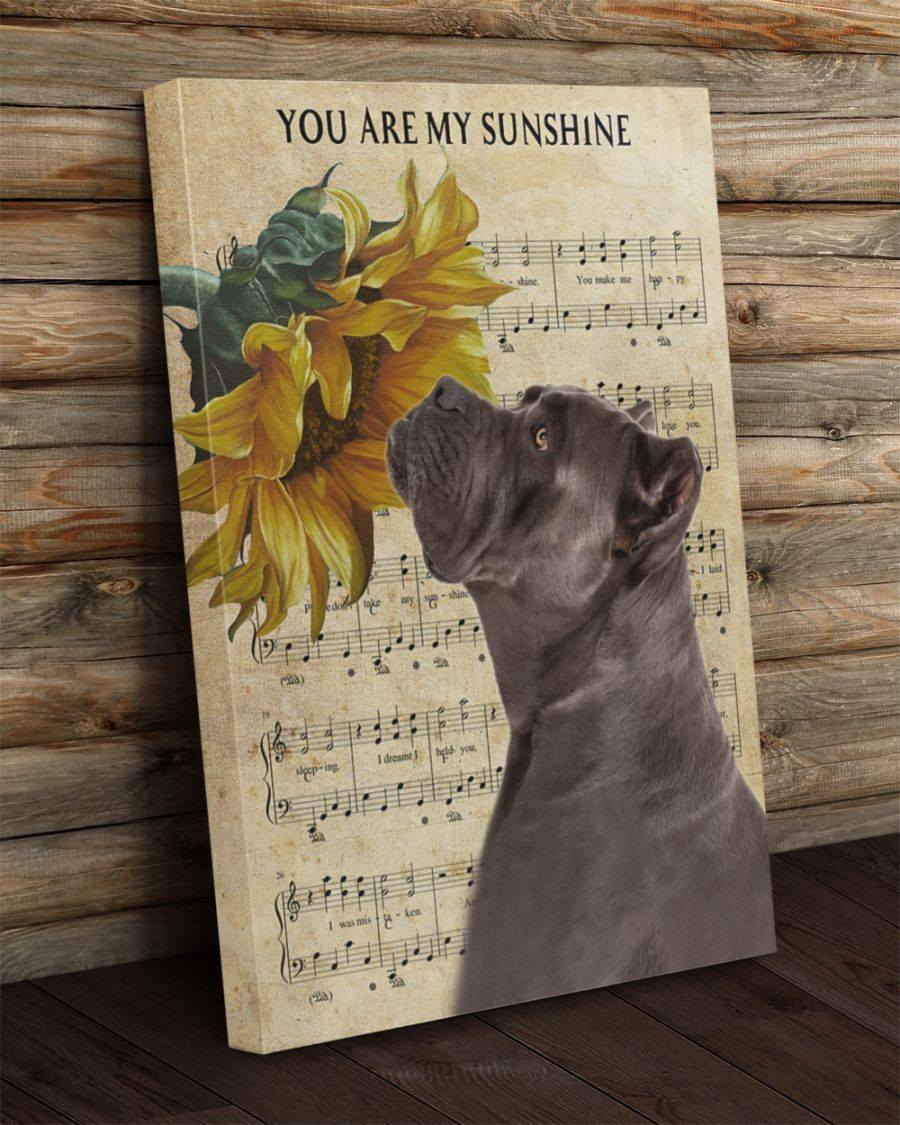 You Are My Sunshine Canvas Gift for Friend Birthday Gift Warm Home Decor Wall Art Visual Art