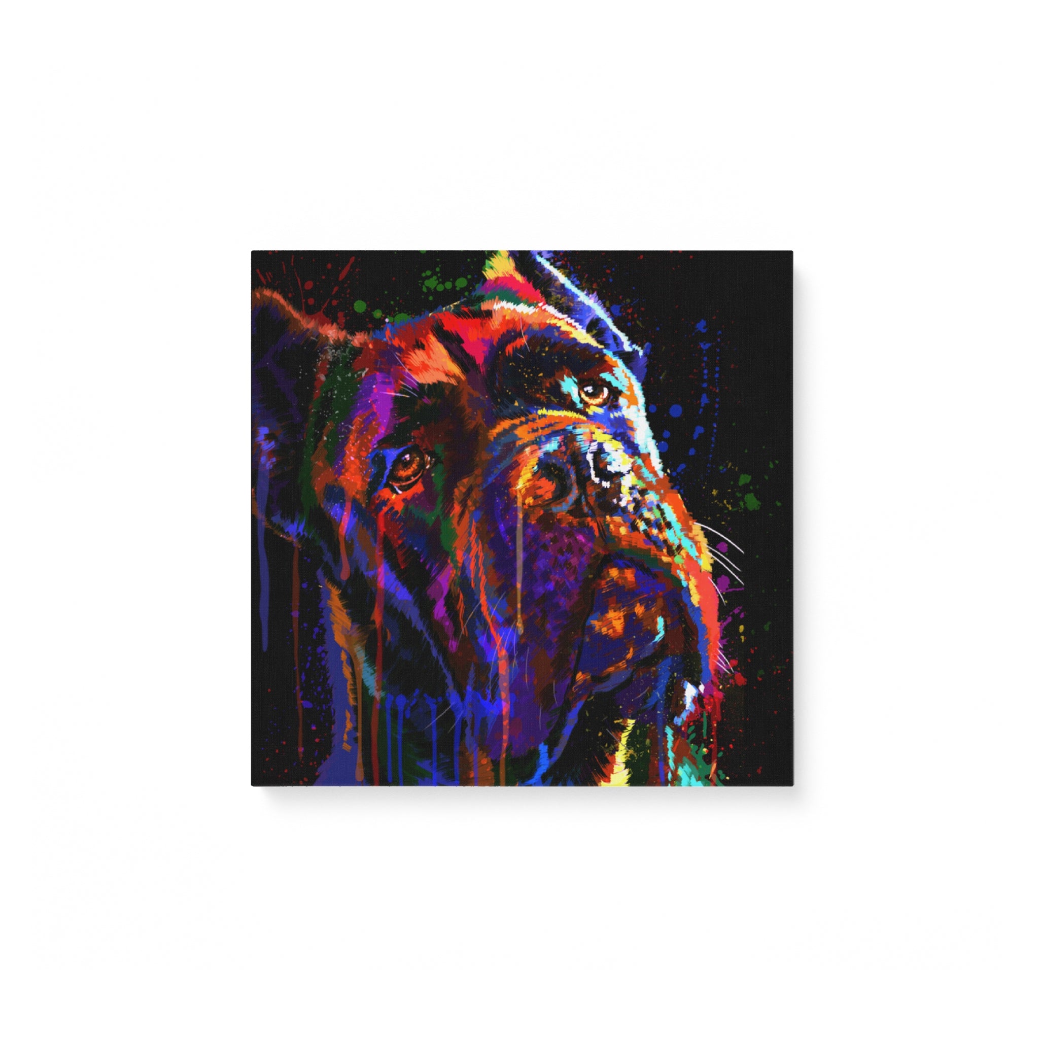 Cane Corso 2 Water Color – Matte Canvas