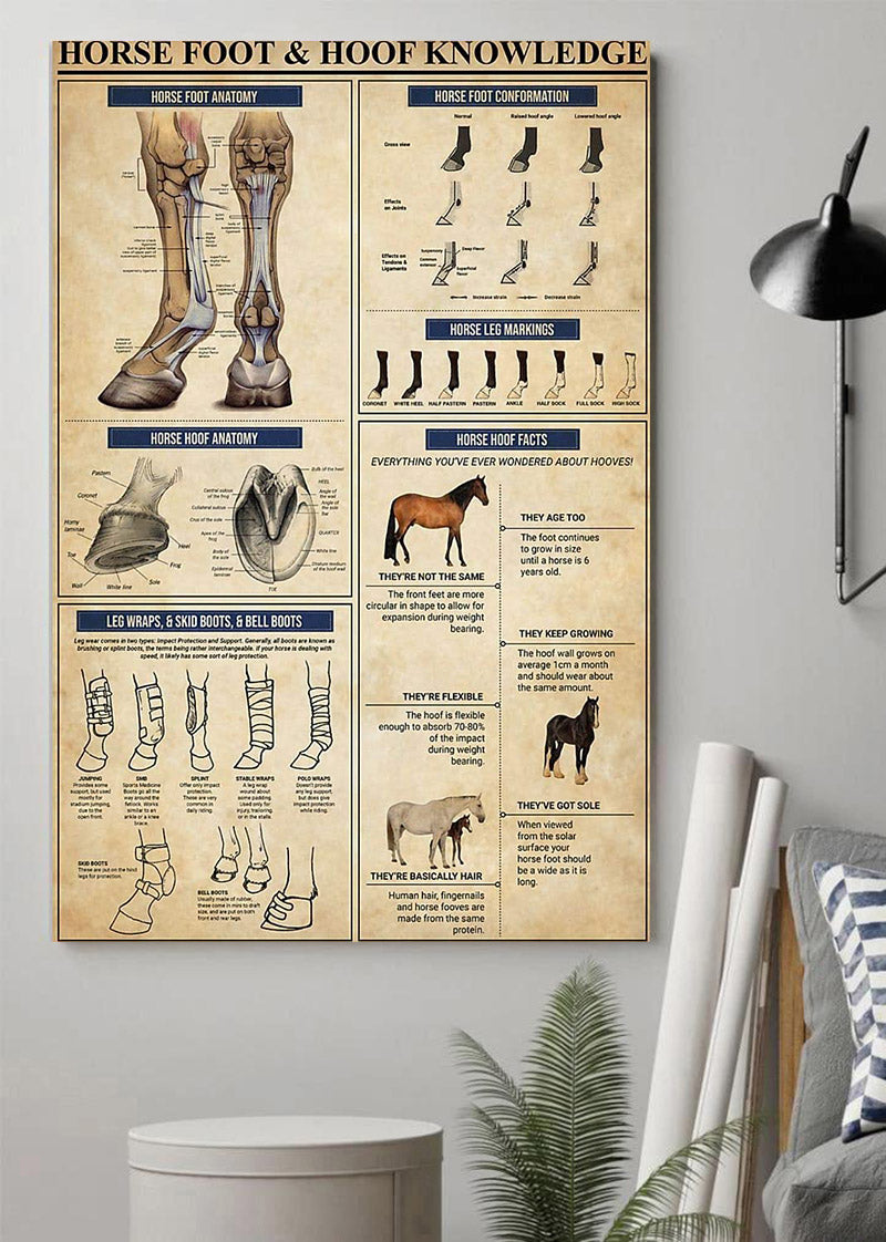 Horse Foot And Hoof Knowledge Horse Hoof Facts Foot Conformation Foot Anatomy Wall Art Hanging Poster