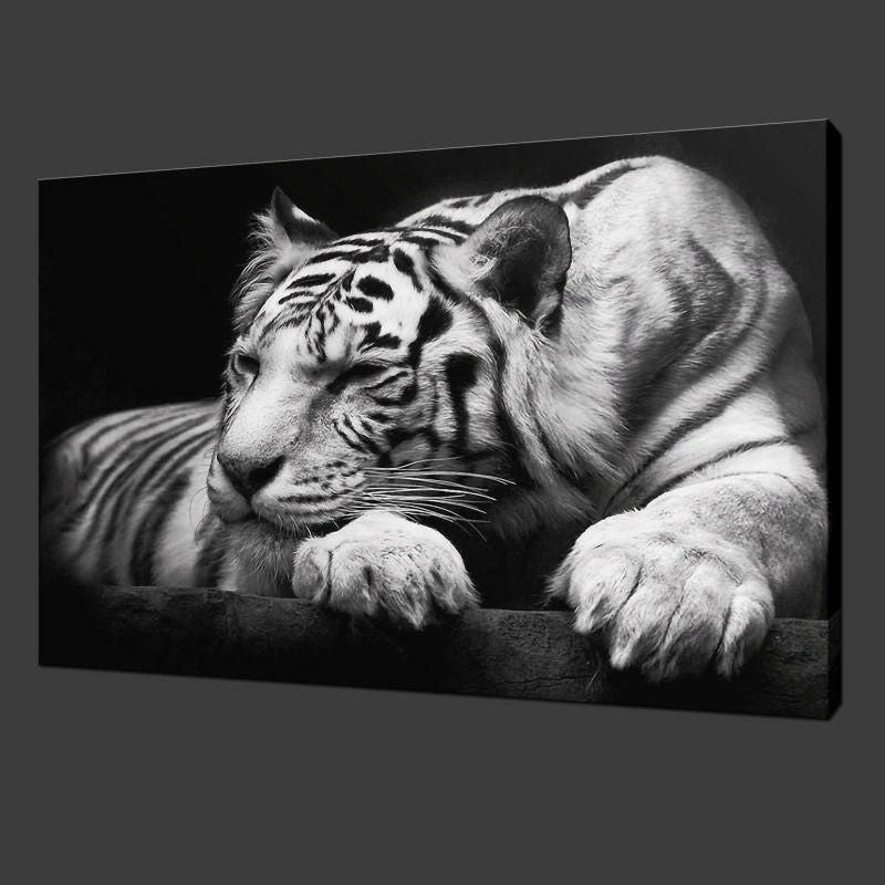 Animal Black And White Tiger Modern Home Ation Full Hd Personalized Customized Canvas Art Wall Art Wall Decor