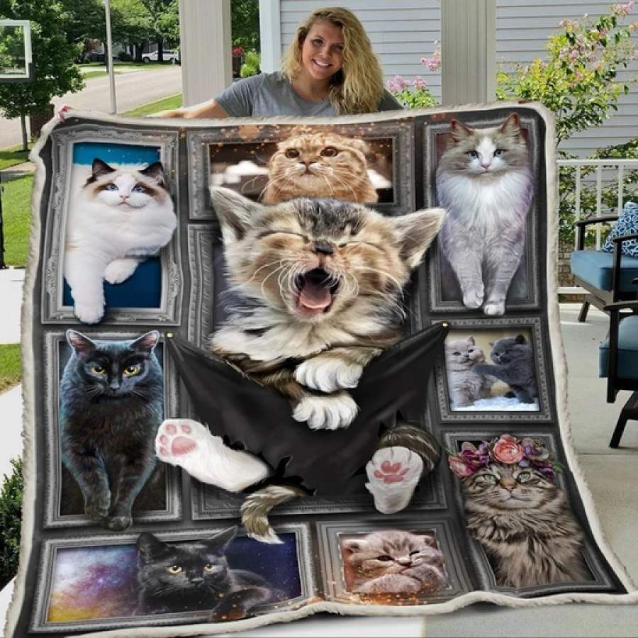 3D HUGE CAT BLANKET NEW