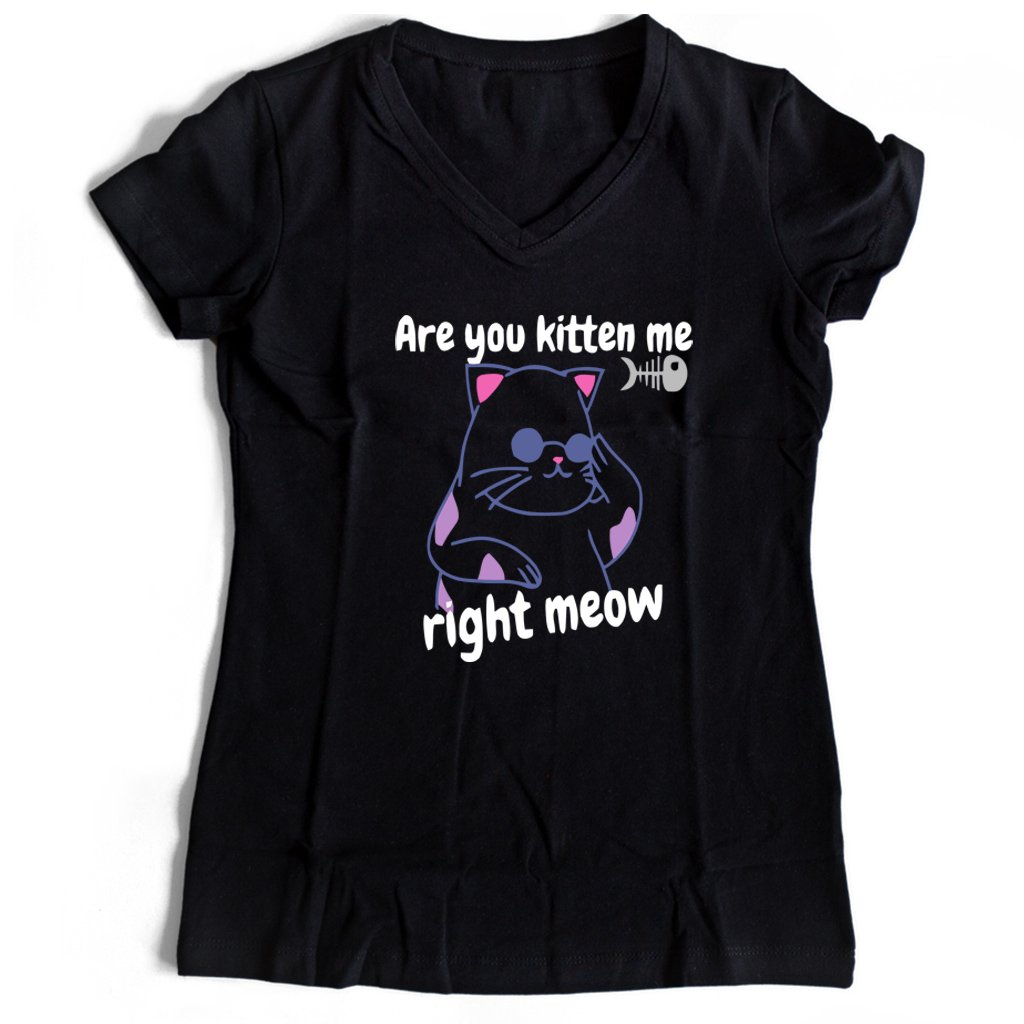 Are You Kitten Me Right Meow Join Women’s V-Neck Tee T-Shirt