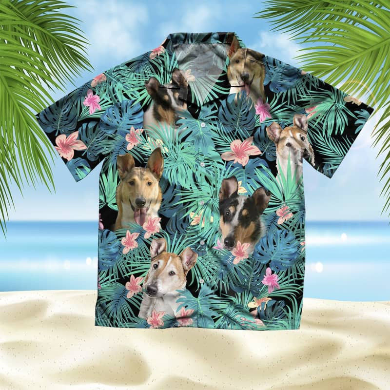 Felacia Smooth Collie Summer Leaves Hawaii Shirt Ha46717