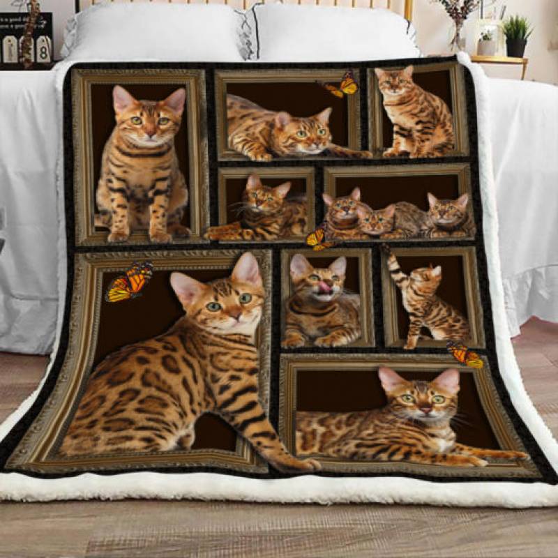 Bengal Cat Sherpa Blanket JR0802 67O57