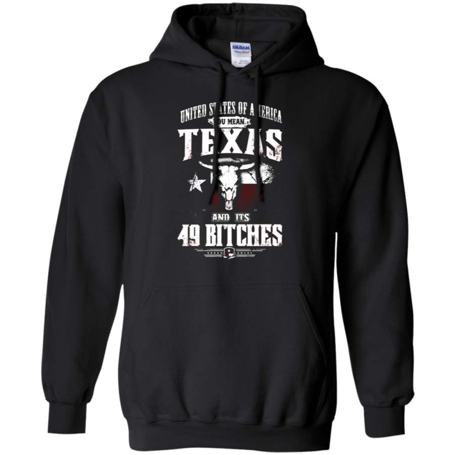 AGR United States Of America You Mean Texas And Its 49 Bitches Hoodie