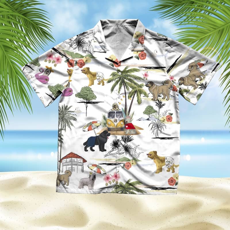 Felacia Unisex Briard Beach Hawaii Shirt Ha43866