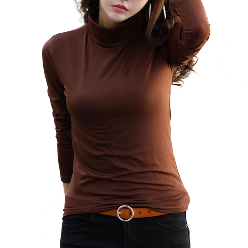 Women Base Shirt Solid Color High Collar Slim Plush Spring Blouse Long Sleeve Turtleneck Pullover for Autumn Winter alx