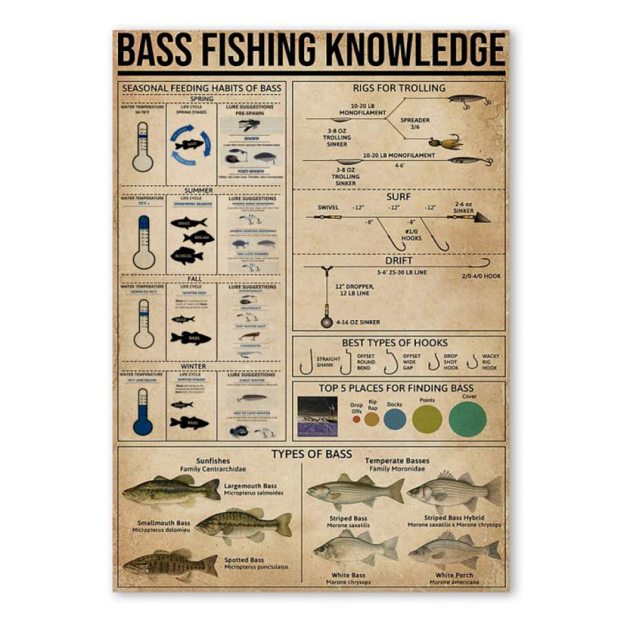 Bass Fishing Knowledge Poster Trending Gift For Friends