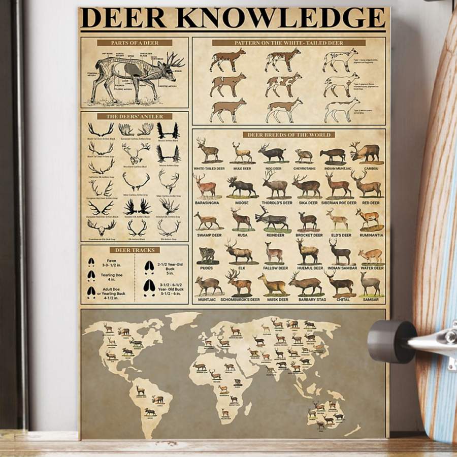 Deer Knowledge  Unique Custom Design  Poster  Gift  For Animal Lovers