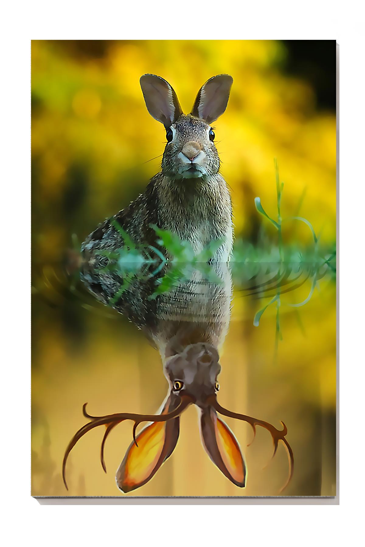 Rabbit Animal Wall Art For Rabbit Lover Nursery Room Kid Room Decor Wrapped Canvas