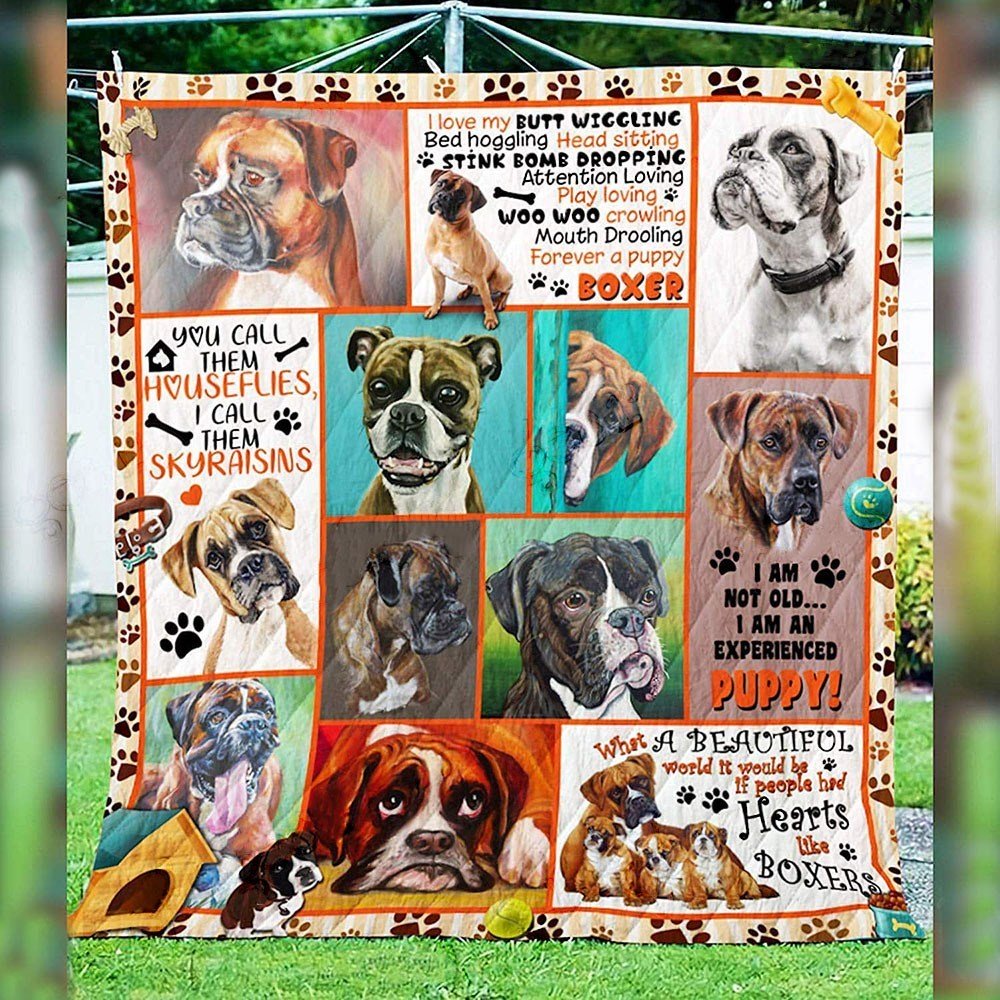 Boxer I am an experienced puppy Beautiful Dogs Quilt Blanket