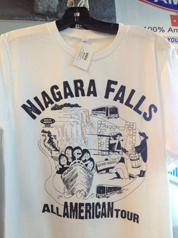 We Hired An Artist To Portray Niagara Falls And Came Up With This Shirt Some Families Shirt