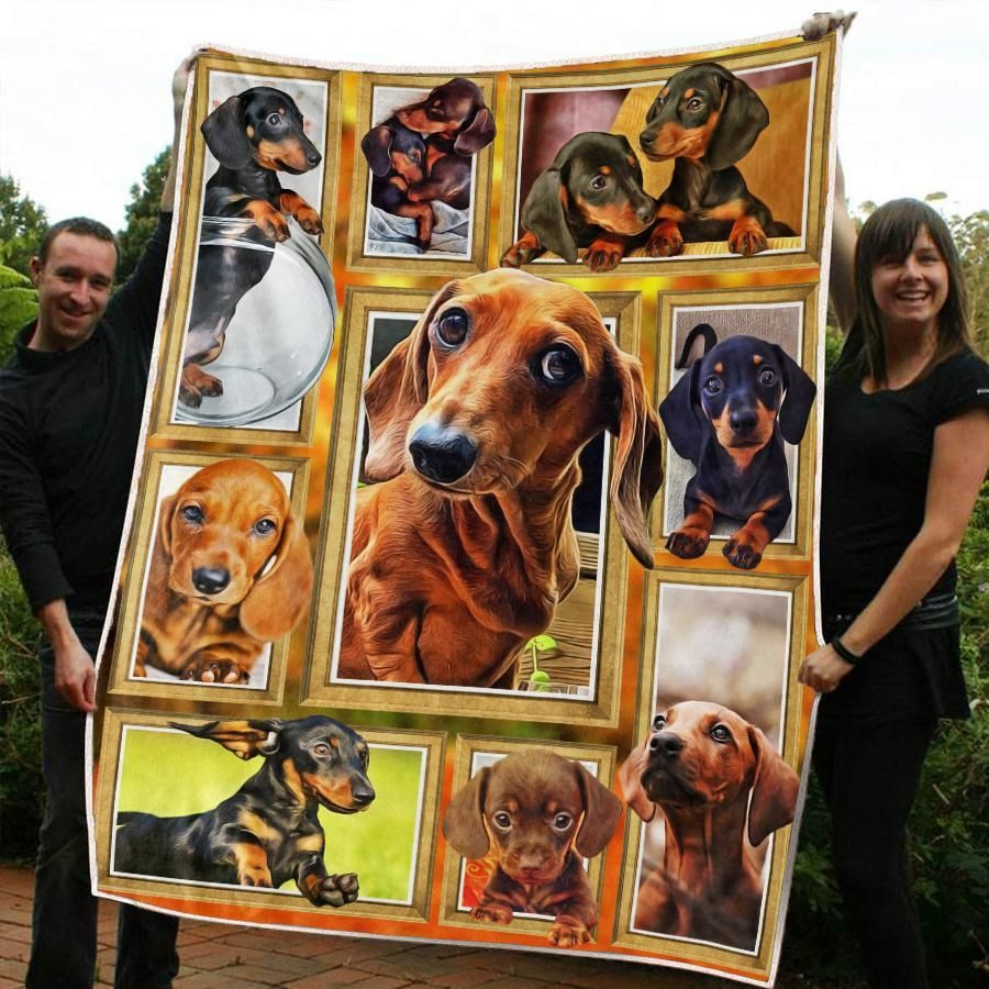 Dachshund Blanket 3D, Christmas Gift, Dog Lover Blanket