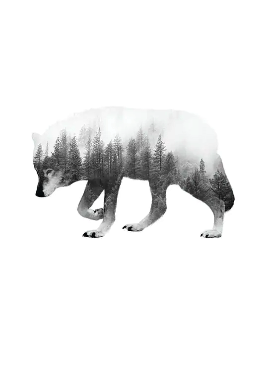 Forest Wolf Black And White Poster - Poster Art Design