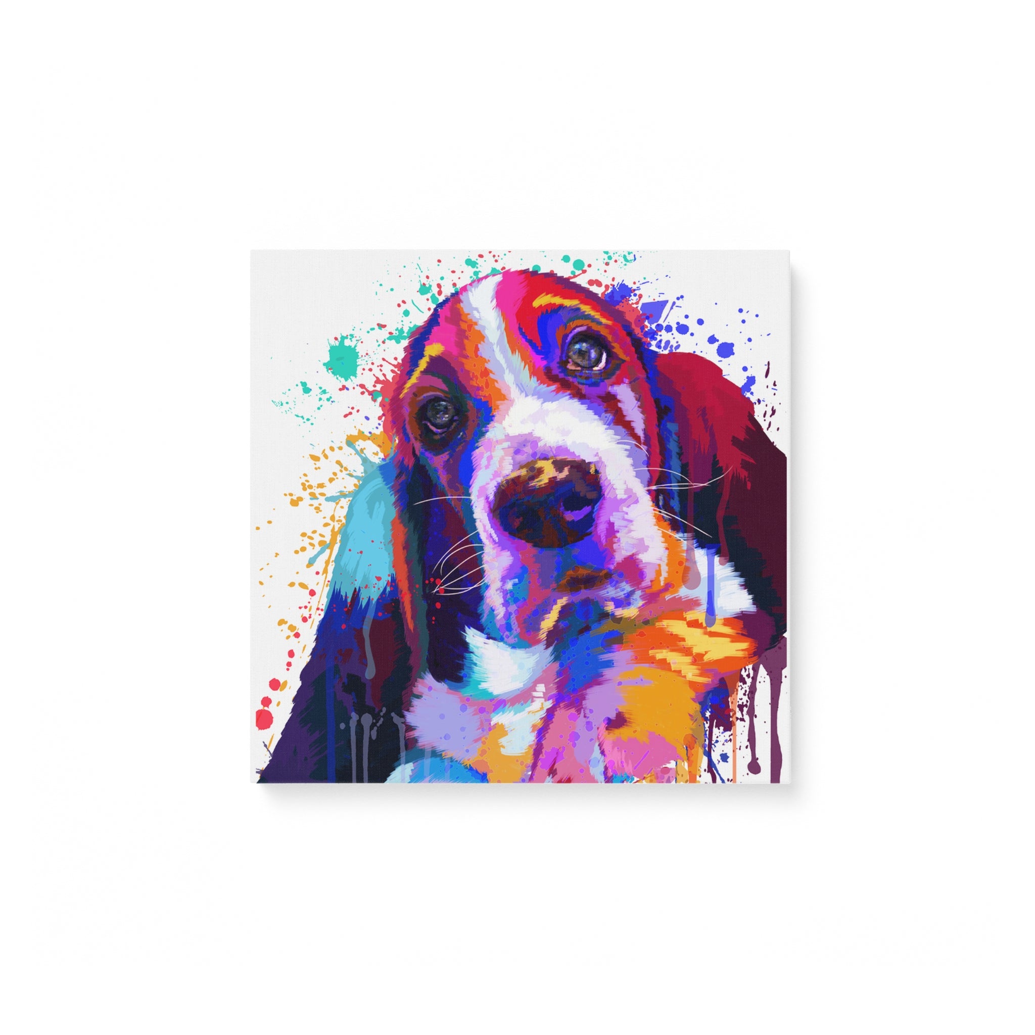 Basset Hound Color Canvas