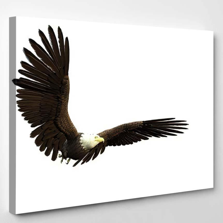 American Bald Eagle Flying – Eagle Animals Canvas Print