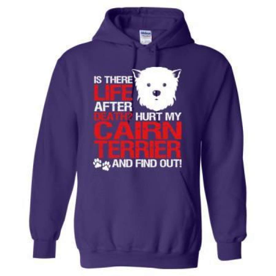 AGR Is There Life After Death Hurt My Cairn Terrier Find Out – Heavy Blend™ Hooded Sweatshirt