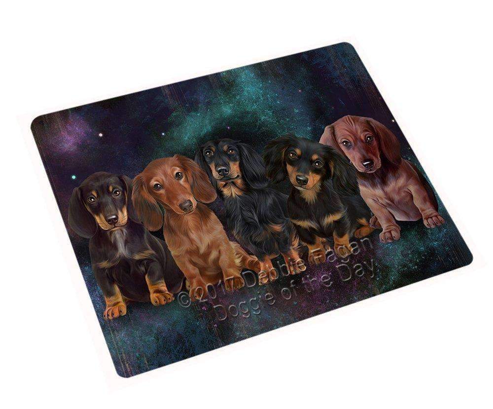 5 Dachshunds Dog Blanket Blnkt50097