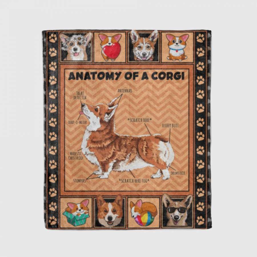 The Anatomy Of A Corgi Blanket – Animal Blanket Funny Gifts Sherpa Blanket