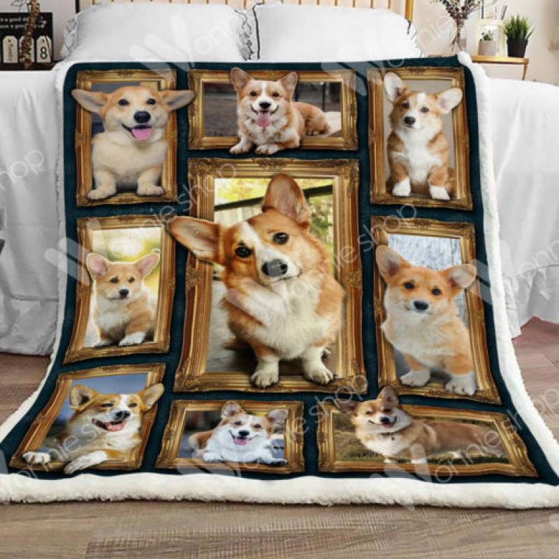 Corgi Dog Sherpa Blanket DCB0901 81O60