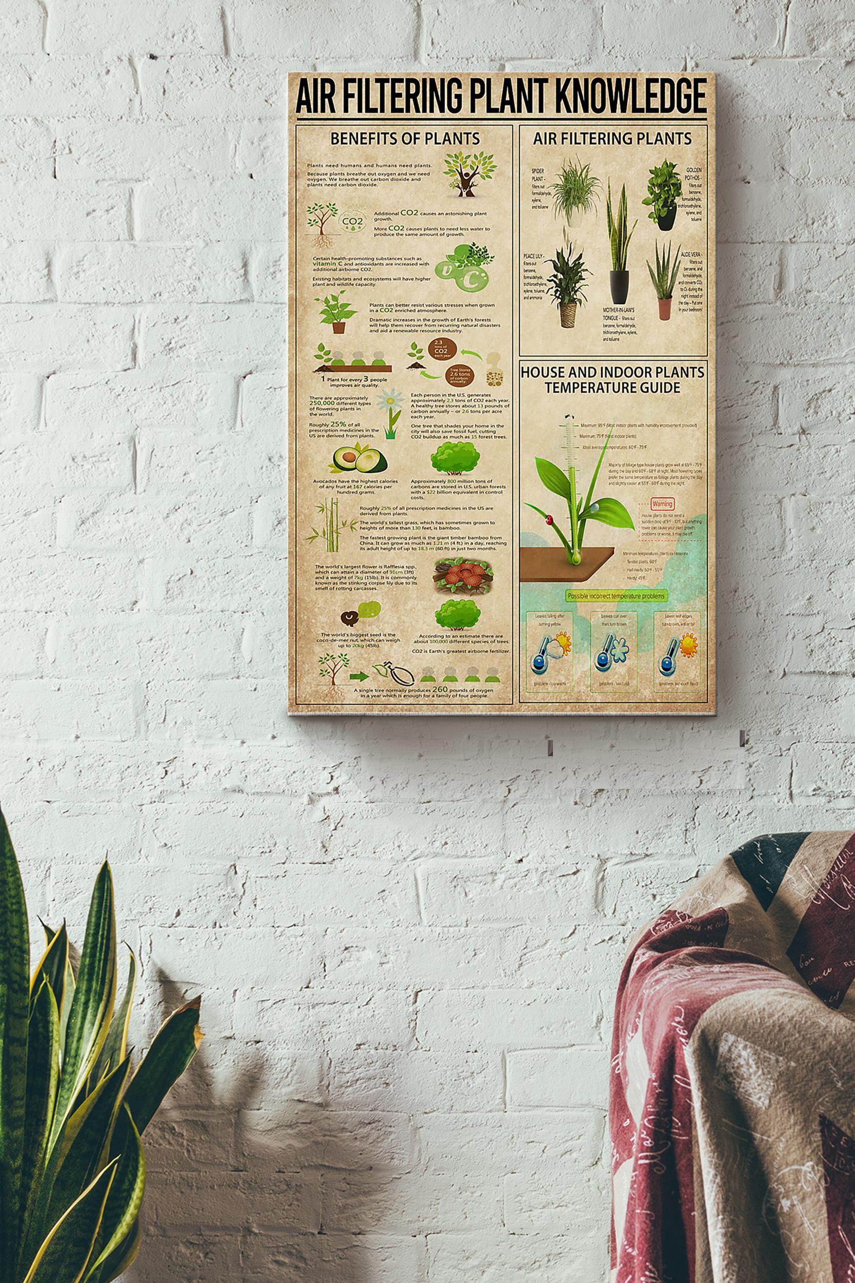 Air Filtering Plant Knowledge Things You Need To Know About Air Filtering Plant Gardening Poster Wrapped Canvas