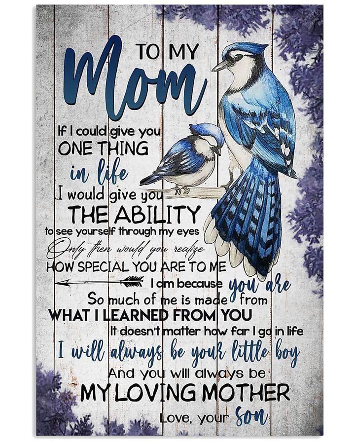 [Personalized Name] Son Gift To Mom How Special You Are To Me Blue Jay Bird – Gift For Mother’S Day, Gift For Home Decor For Family – Matte Canvas