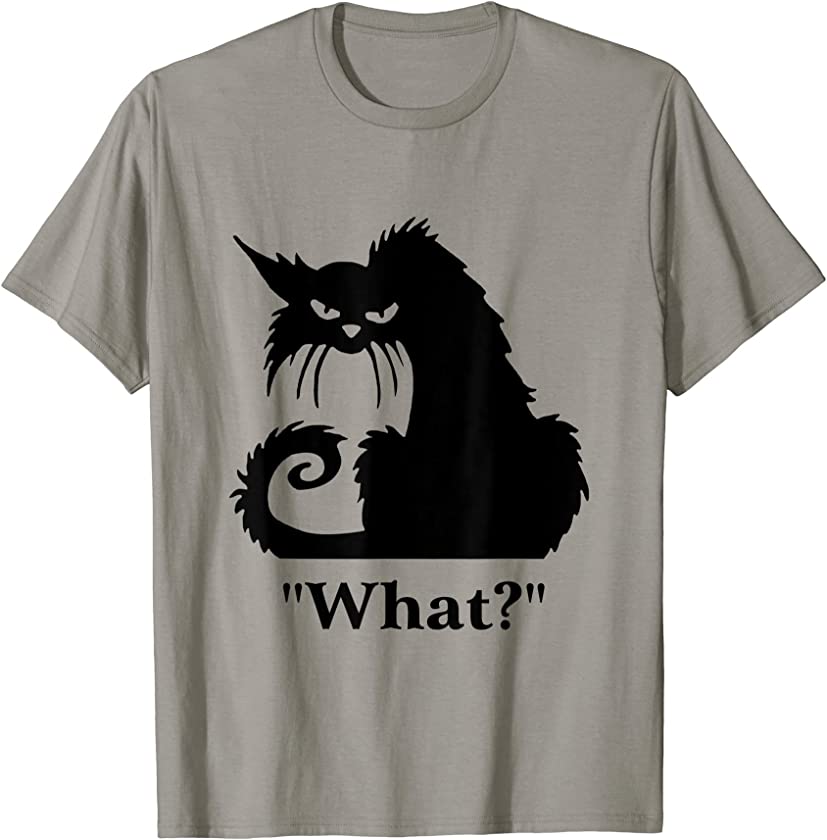 Cat What Funny Black Cat lover cat kitten kitty T-Shirt