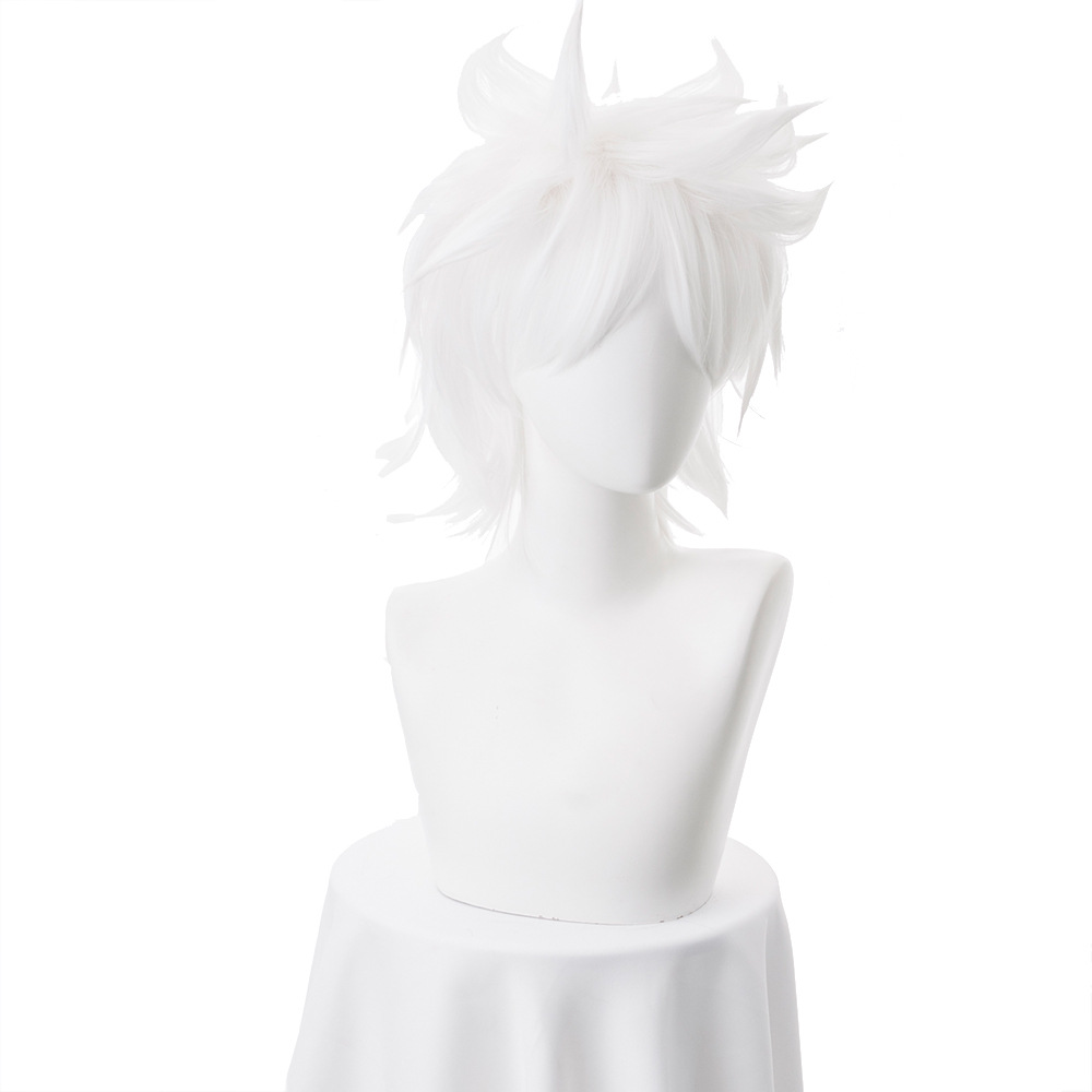 Anime Fate/Apocrypha Amakusa Shirou Tokisada Wig Cosplay Costume Fate grand Men short gray Party Play Wigs Shirou Kotomine alx