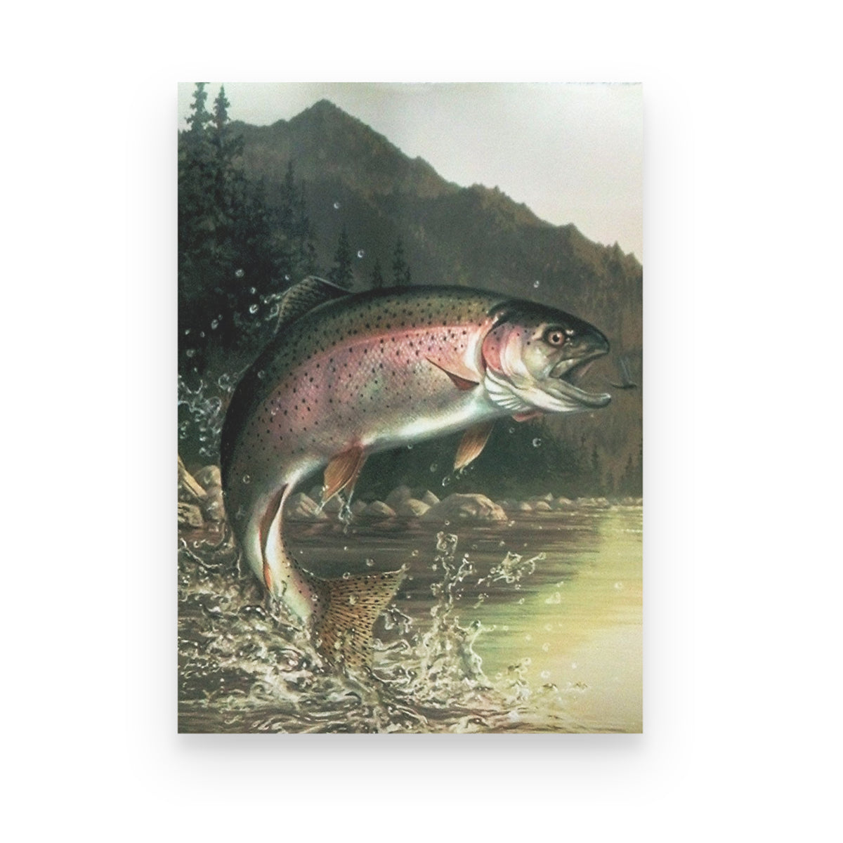 Rainbow Trout Poster Canvas | Christmas Gift