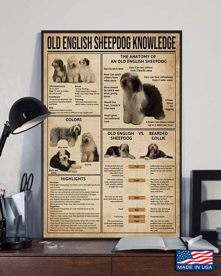 Old English Sheepdog Knowledge Poster  Canvas