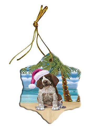 Summertime Bracco Italiano Puppy On Beach Christmas Star Ornament Por2817