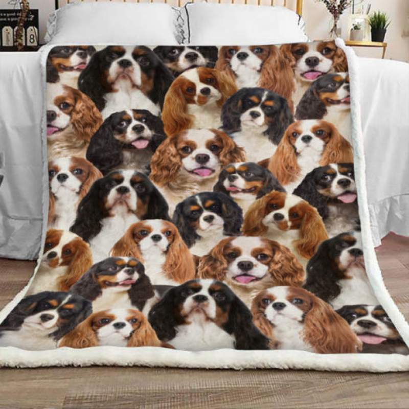 Cavalier King Charles Spaniel Dog Sherpa Blanket JR1302 70O51