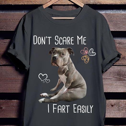 Don’t Scare Me I Fart Easily Cute Pitbull Dog Gift T-shirt