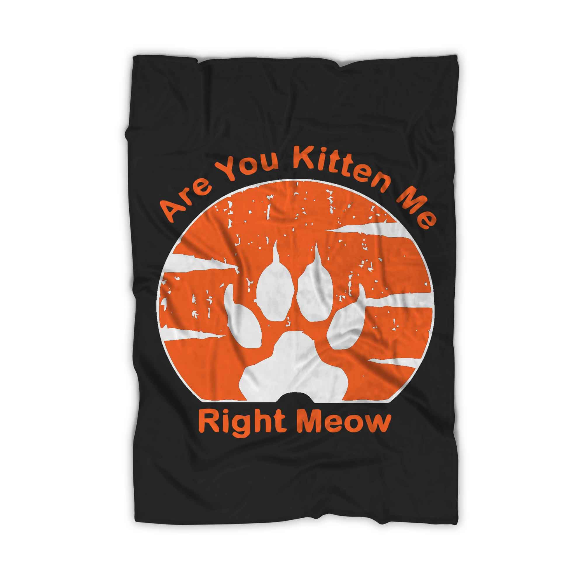 Are You Kitten Me Right Meow Vintage Blanket