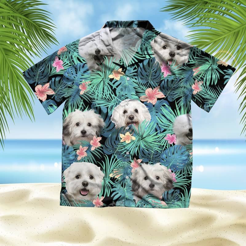 Felacia Bolognese Dog Summer Leaves Hawaii Shirt Ha75592