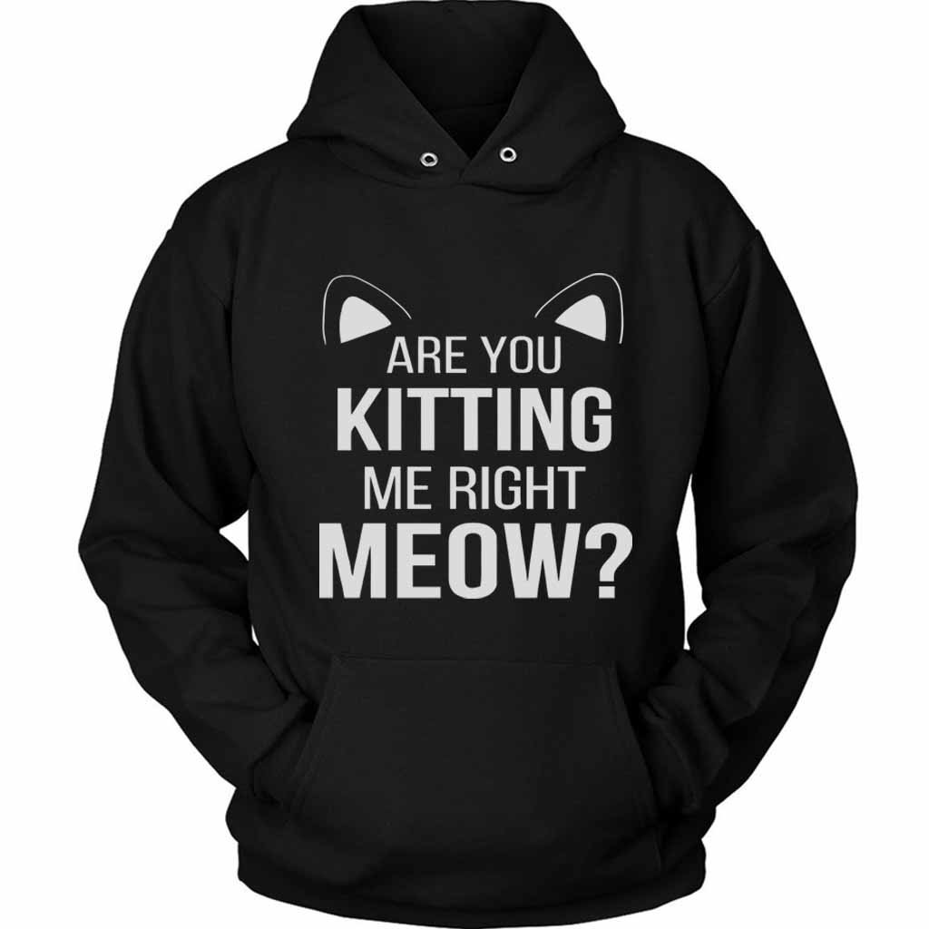 Are You Kitten Me Right Meow Duck Unisex Hoodie