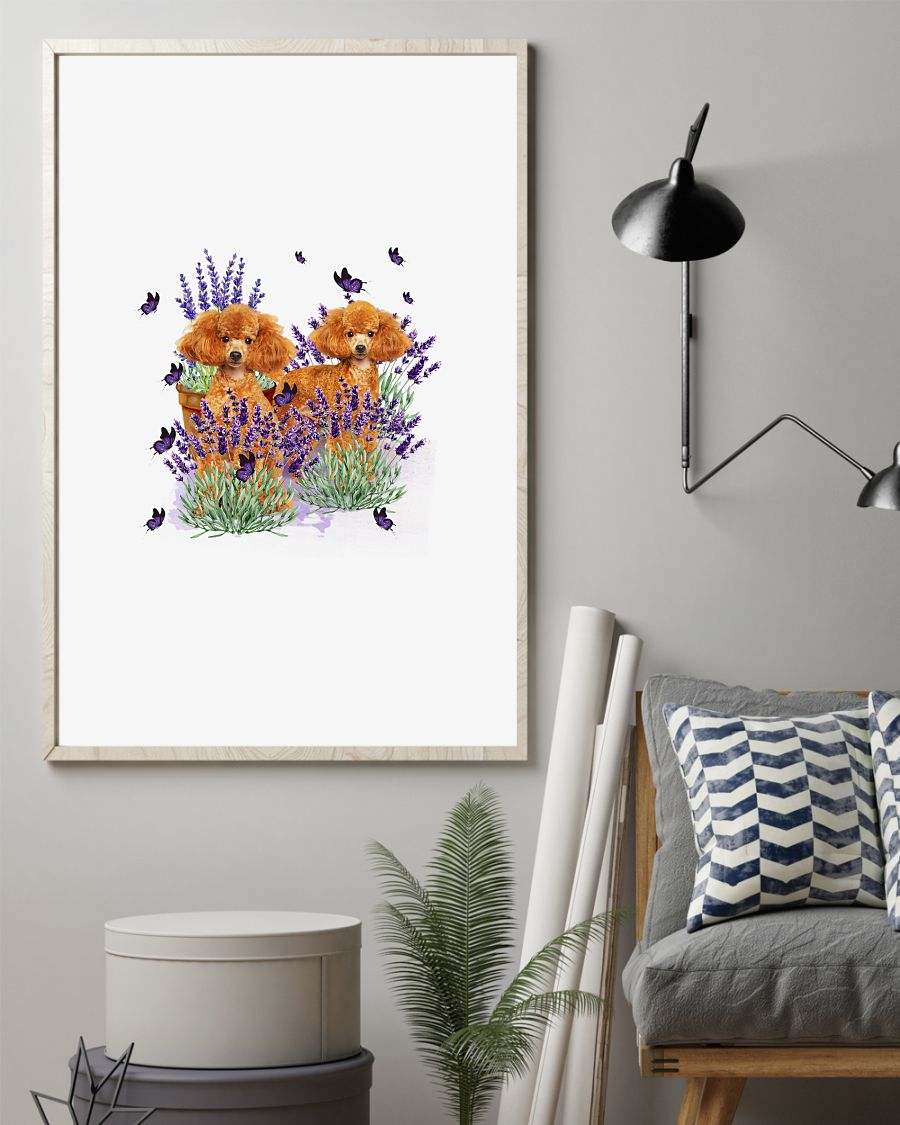 Poodle with lavender flower poster
