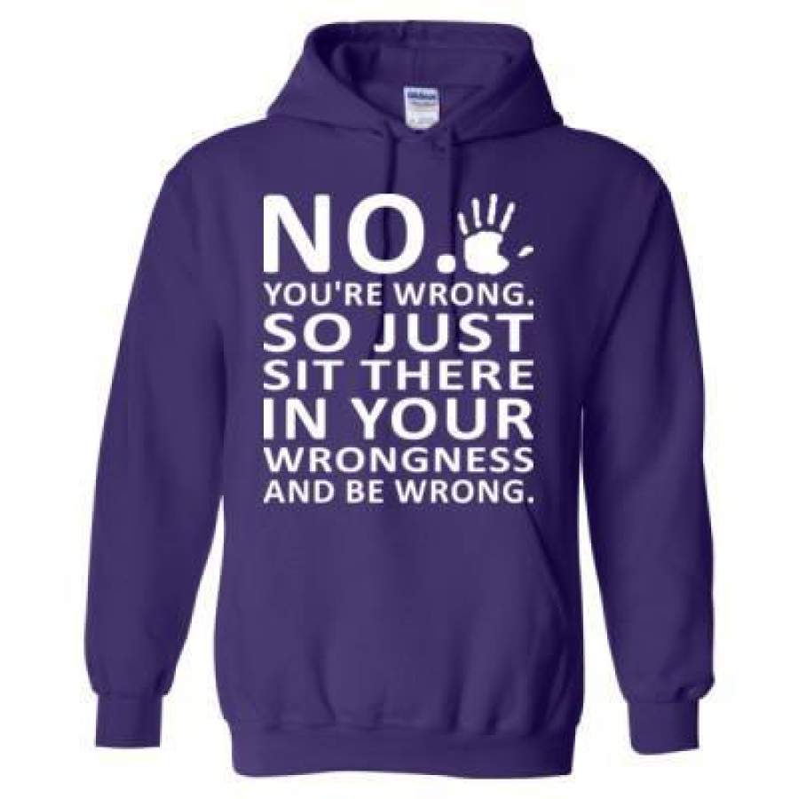 AGR No You Are Wrong So Just Sit There In Your Wrongness And Be Wrong – Heavy Blend™ Hooded Sweatshirt