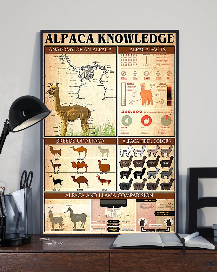 Alpaca Knowledge Vertical Canvas And Poster | Wall Decor Visual Art