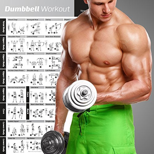 Newme Fitness Dumbbell Workout Exercise Poster – Laminated – Strength 