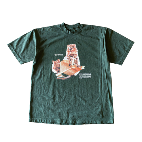 Quokka Leaf Diet Tee Shirt Outfit  For Men  For Women