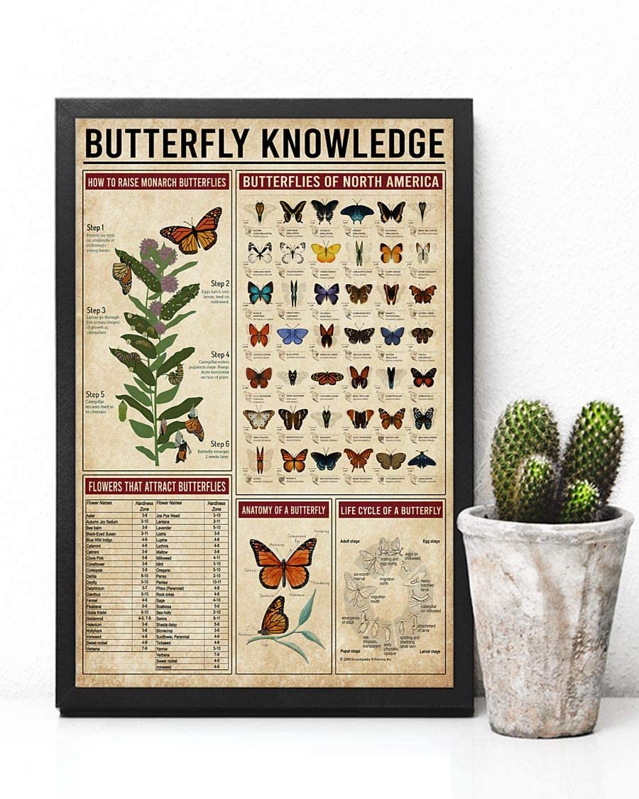 Butterfly Poster Raise Monarch Butterflies Flowers Anatomy Life Cycle Butterfly Knowledge Graphic Living Bed Kitchen Room Decoration Watercolor Canvas