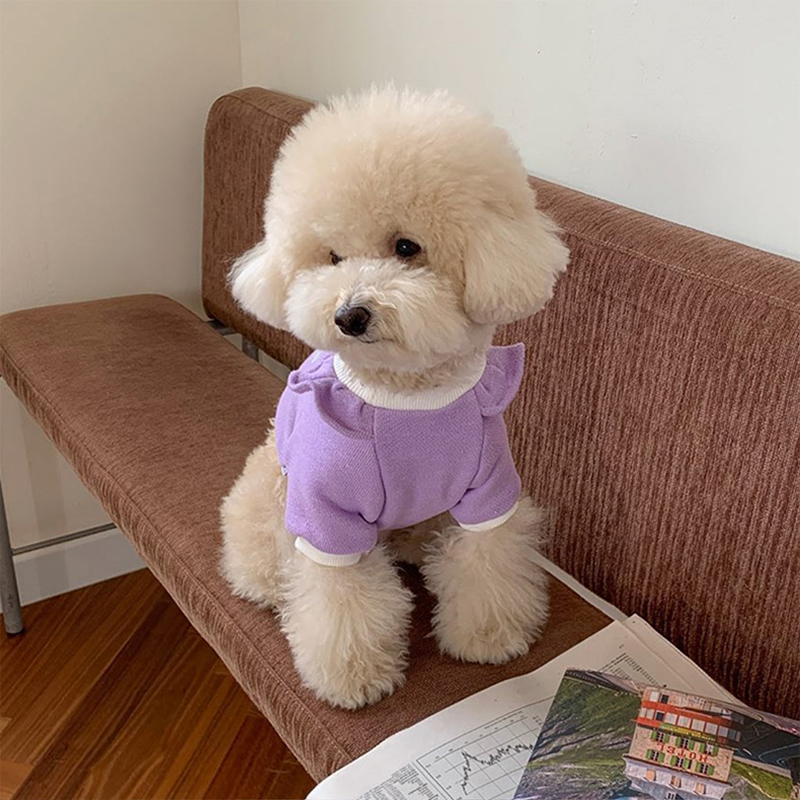 Winter Puppy Warm Clothes Flower Small Flying Sleeve Sweater Teddy Twolegged Clothes Solid Color Dog Clothes Pet Bottoming Shirt alx