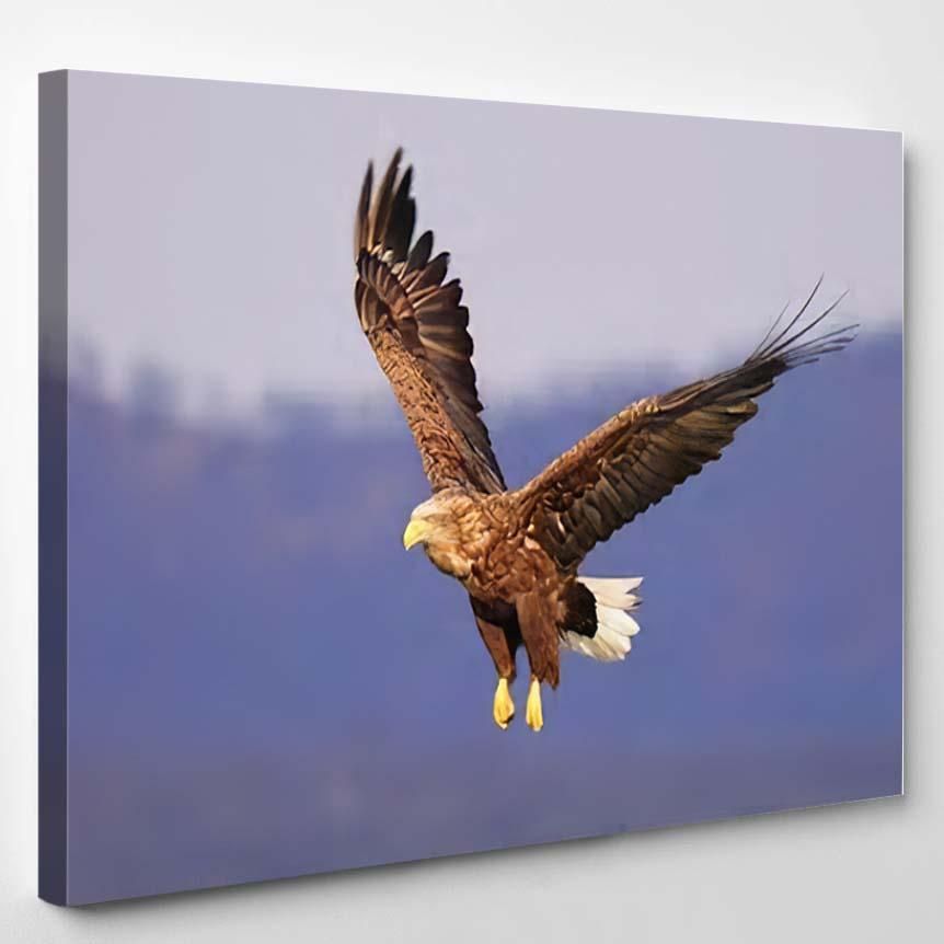 Whitetailed Eagle Flying Sky – Eagle Animals Canvas Art Wall Decor Christmas Gift Ideas