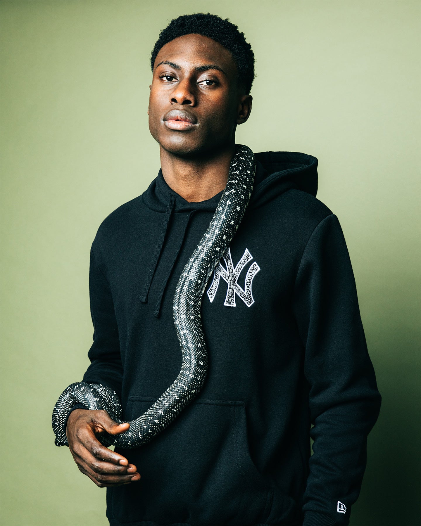 New Era New York Yankees Snake Hoodie Black