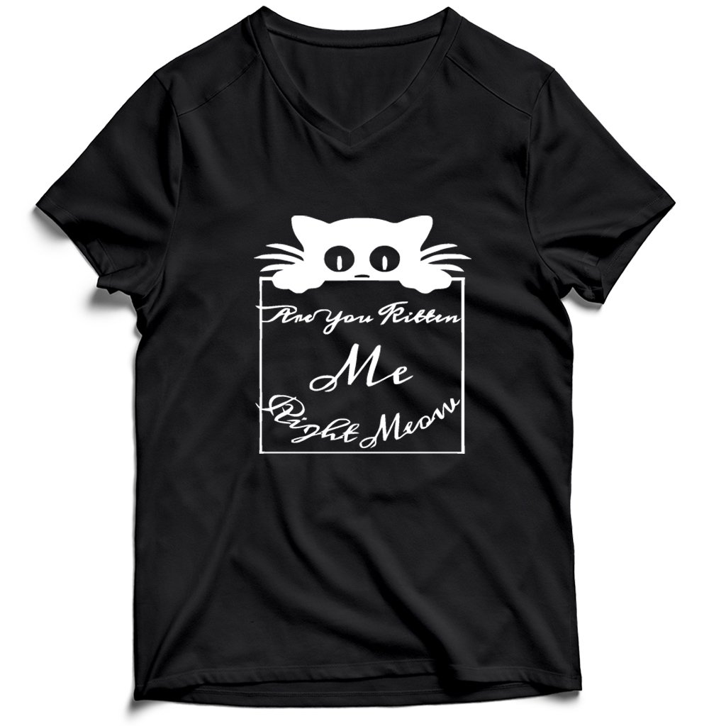 Are You Kitten Me Right Meow Lee Men’s V-Neck Tee T-Shirt