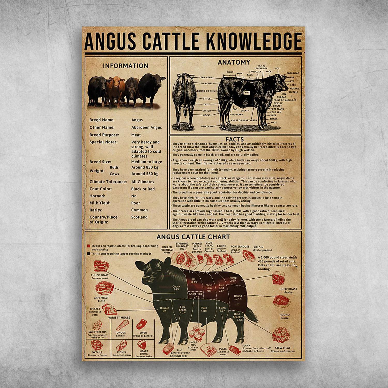 Angus Cattle Knowledge Angus Cattle Chart Angus Cattle Anatomy Poster Print Wall Art Canvas Wall Decor